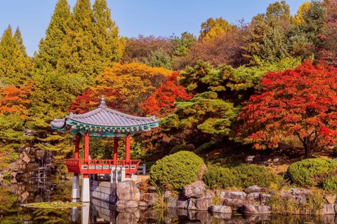 Beautiful oriental gazebo with terracotta tile roof at edge of man made pond with small waterfall