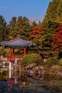 Oriental gazebo with terracotta tile roof at edge of man made pond and yellow construction crane