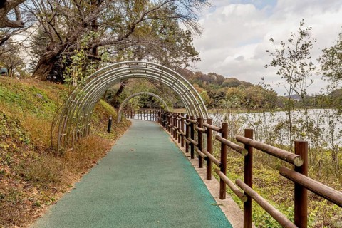 Metal trellis over green paved hiking trail at lakeside park in South Korea