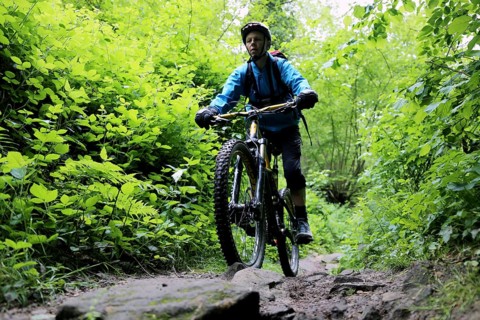 Mountain bikers on a difficult trail in the Palatinate Forest