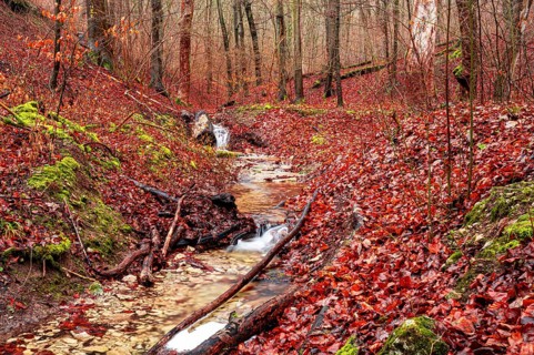 Waterfall in the Rautal forest in Jena in winter, Jena, Thuringia, Germany, Europe
