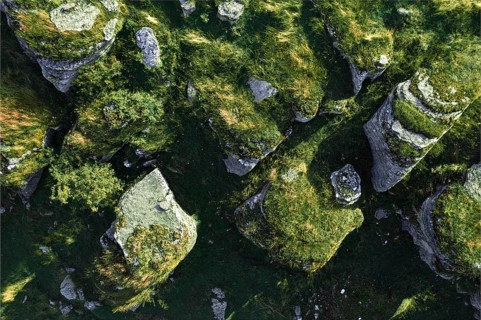Group of beauty rock karst formations on Lessinia Plateau Regional Natural Park (Altopiano della