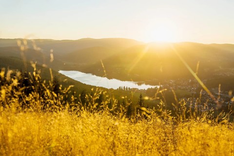 View from Hochfirst to Titisee and Feldberg, sunset, near Neustadt, Black Forest,