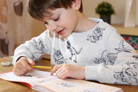 Primary school pupils at home (homeschooling)