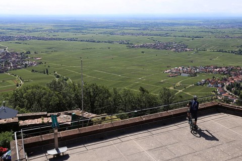 View of the Rhine plain from the Rietburg above Rhodt
