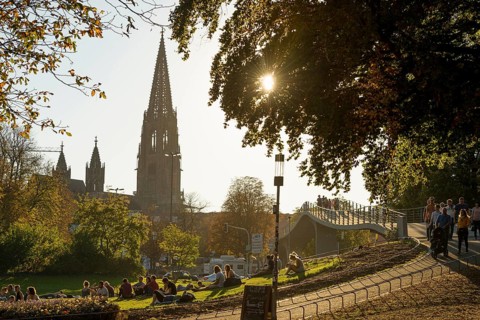 City garden with Karlssteg and Freiburg Minster, sunset, Freiburg im Breisgau, Black Forest,
