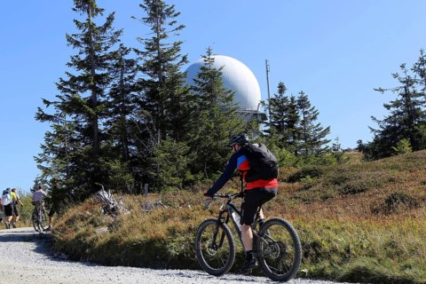 Mountain bike tour through the Bavarian Forest with the DAV Summit Club: Mountain bikers on the