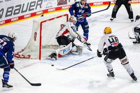 Game scene Adler Mannheim against Fischtown Pinguins Bremerhaven (PENNY DEL, German Ice Hockey