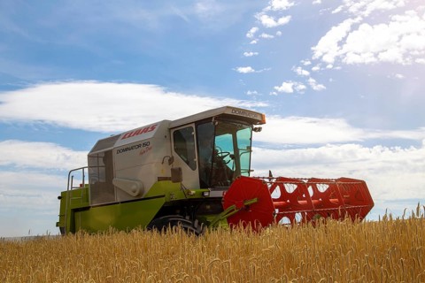 Grain harvest in the district of Bad Duerkheim (Rhineland-Palatinate)