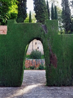 Hedge with passageway, archway in garden, thuja, topiary, Generalife Gardens, Alhambra, Granada,