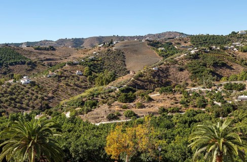 Landscape view of scenery hillsides with farms and farmhouses, Frigiliana, Axarquia, Andalusia,