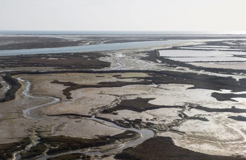 Coastal landscape of salt marsh and drainage channels along the coastline off Faro, Algarve,