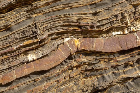 White veins of quartzite forming dykes crossing layers of metamorphosed sedimentary rock in the