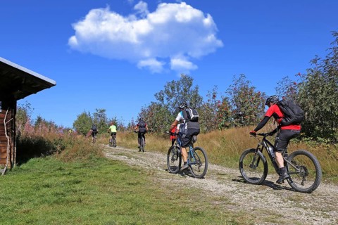 Mountain bike tour through the Bavarian Forest with the DAV Summit Club: Mountain bikers on the