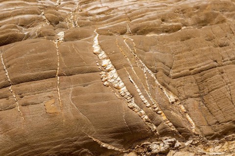 Folded sedimentary rock strata dipping downwards in cliff at Praia dos Alteirinhos, Zambujeira do