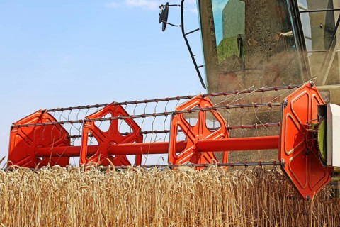 Agriculture grain harvest (Rhineland-Palatinate, July 2020)