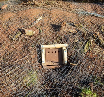 Eviction of badgers clearance of badger sett using metal fencing and one way exit gates, part of