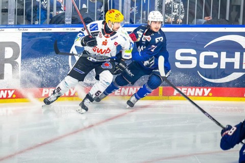 Game scene Adler Mannheim against Fischtown Pinguins Bremerhaven (PENNY DEL, German Ice Hockey