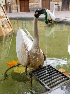 Swan in water fountain pond of main square, village of San Vicente de la Sonsierra, La Rioja,