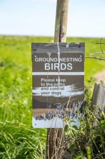 Ground-nesting birds sign about keeping to paths and controlling dogs, Shingle Street, Hollesley,