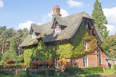 Large detached thatched house and garden, Sudbourne, Suffolk, England, United Kingdom, Europe