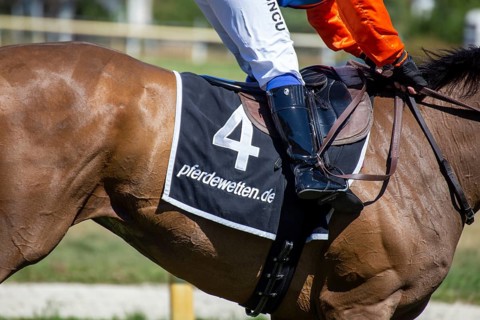 Race day at the racecourse in Hassloch, Palatinate. Galloping out after the Mueller Bau GmbH Prize