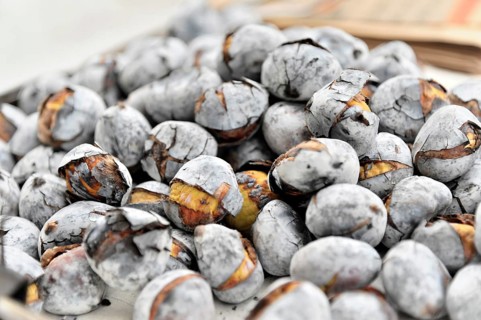 Quentes e Boas, chestnuts, chestnuts, Alfama neighbourhood, Lisbon, Lisboa, Portugal, Europe