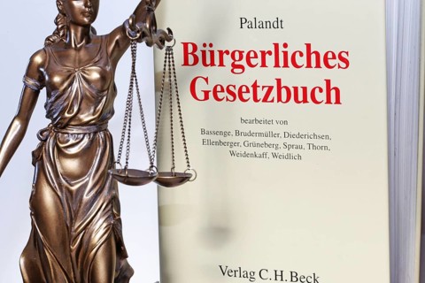 Symbolic image of a court judgement: Justitia with the Palandt (German Civil Code) in the