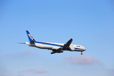 A passenger plane of the Japanese airline ANA lands at Frankfurt Airport
