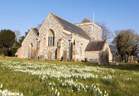 Showdrops in flower in churchyard of village parish church of Saint Thomas A Becket, Tilshead,