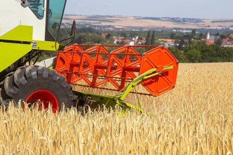 Grain harvest in the district of Bad Duerkheim (Rhineland-Palatinate)