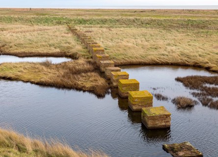 Stepping stones formed by second world war defences near Shingle Street, North Sea coast, Suffolk,