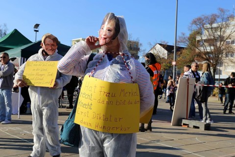 Speyer: Corona protests against the federal government's measures. The protests were organised by