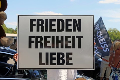 Demonstration in Landau, Palatinate: The demonstration was directed against the government's