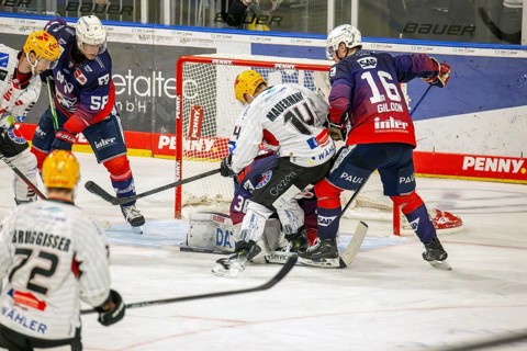 Game scene Adler Mannheim against Fischtown Pinguins Bremerhaven (PENNY DEL, German Ice Hockey