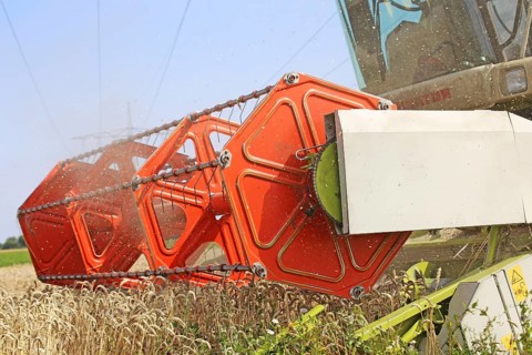 Agriculture grain harvest (Rhineland-Palatinate, July 2020)