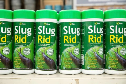 Plastic containers of organic Vitax Slug Rid bait on shelf display in garden centre, UK