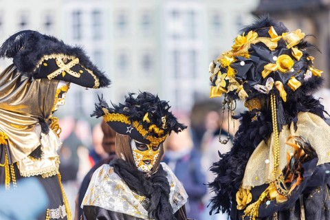 LUST & PASSION & JOY OF LIFE, for the joy of the masquerade, the Elbvenezian Carnival took place in