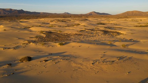 Sand dunes near Corralejo, shifting sand dunes, Fuerteventura, Canary Islands, Spain, Europe
