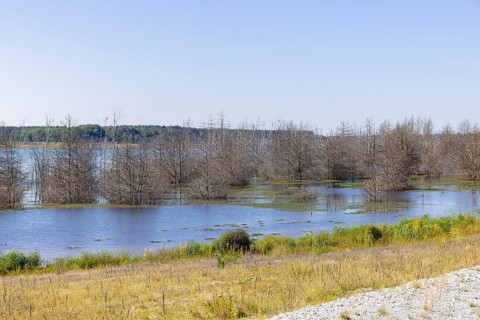 Lake Sedlitz is a lake in the Lusatian Lakeland chain of lakes and is located in the Brandenburg