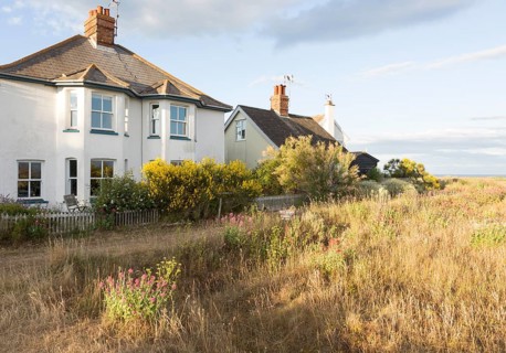 Houses next to the beach summer wildflowers on the SSSI at Shingle Street, Hollesley, Suffolk,