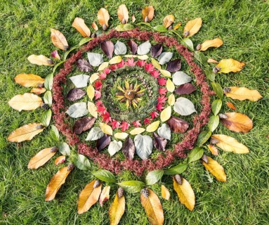 Pattern rings autumn leaves on grass, National arboretum, Westonbirt arboretum, Gloucestershire,