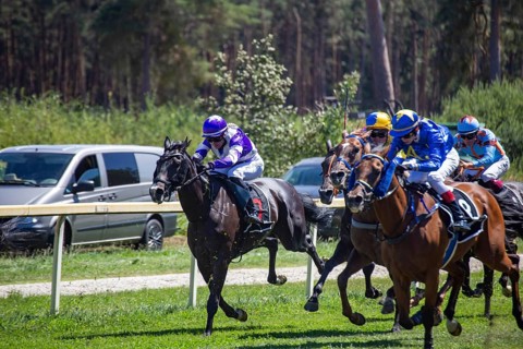 Race day at the racecourse in Hassloch, Palatinate. Prize of St. Hippolyt/Muehle Ebert & Gestuet