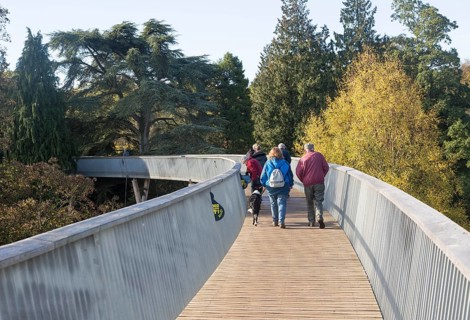 Treetop walkway to Silk Wood, National arboretum, Westonbirt arboretum, Gloucestershire, England,