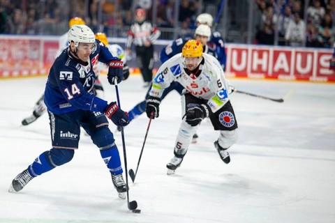 Game scene Adler Mannheim against Fischtown Pinguins Bremerhaven (PENNY DEL, German Ice Hockey