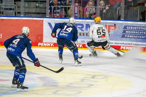 Game scene Adler Mannheim against Fischtown Pinguins Bremerhaven (PENNY DEL, German Ice Hockey