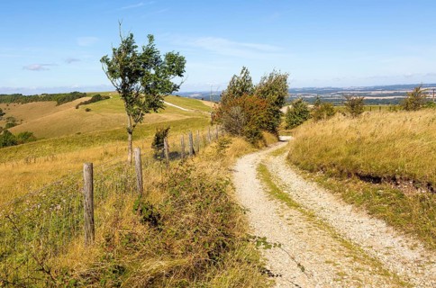 Track along top of chalk scarp escarpment slope of Inkpen Hill, at Walbury Camp, Berkshire,