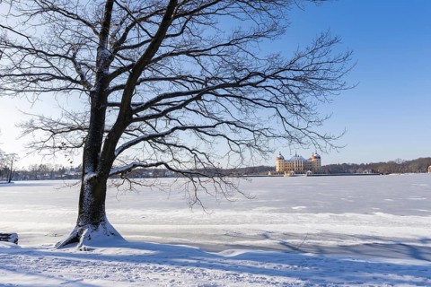 Baroque Moritzburg Hunting Lodge, Moritzburg, Saxony, Germany, Europe