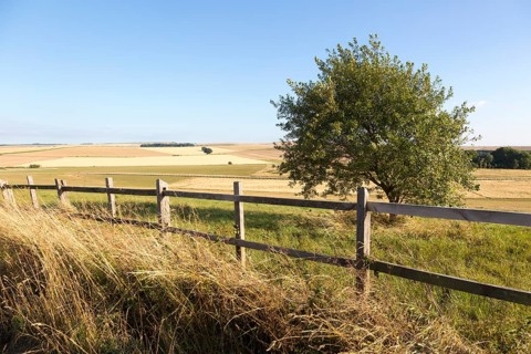 Rolling hills and fields chalk landscape near Beckhampton, Wiltshire, England, UKWiltshire,