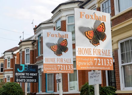 Estate agent signs for apartment flats for sale and room to rent, Spring Road, Ipswich, Suffolk,
